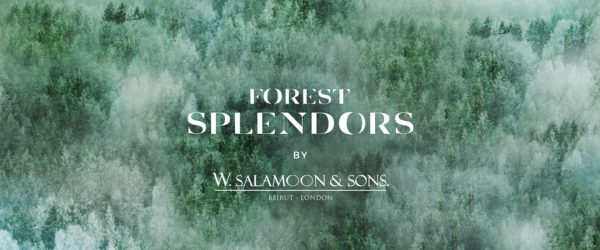 Forest Splendors Collection by Wsalamoon